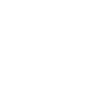 icons8-bag-100