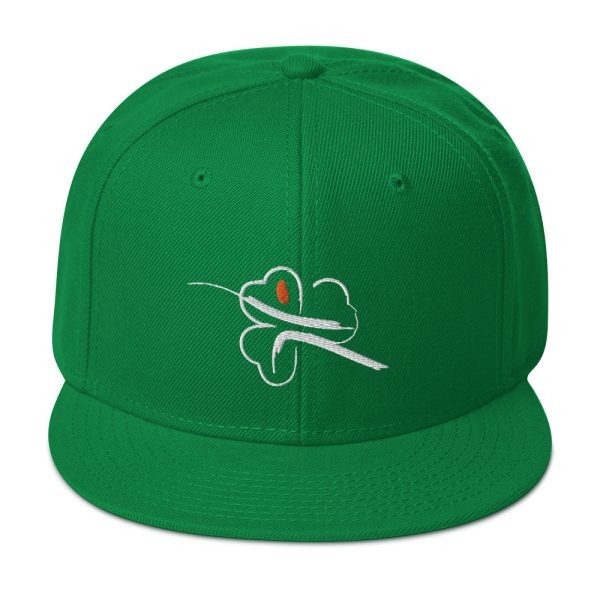 Fencing Ireland Snapback Hat